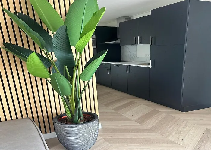 Elegant For 12 Guest,ulicoten * Ulicoten