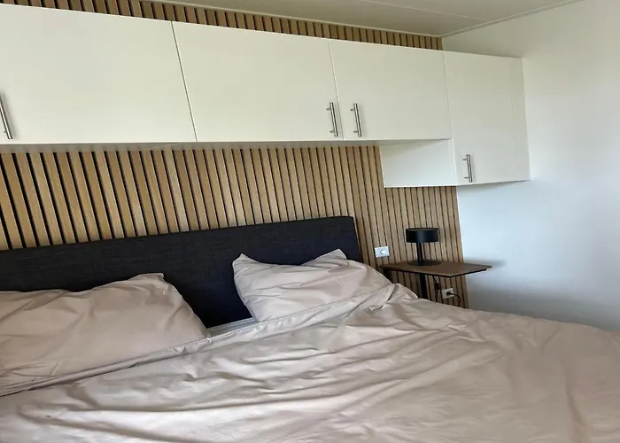 Elegant For 12 Guest,ulicoten